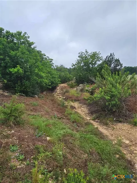 lot14 Cielo Springs Dr, Blanco, TX 78606 photo 3