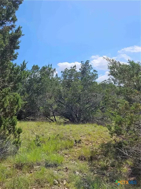 lot14 Cielo Springs Dr, Blanco, TX 78606 photo 4
