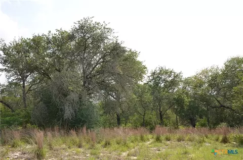 lot66 Powder Ridge Rdg, Luling, TX 78648 photo 6
