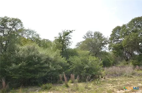 lot66 Powder Ridge Rdg, Luling, TX 78648 photo 10