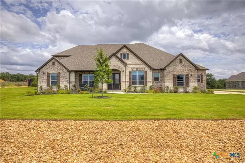 10696 Chestnut Warbler, New Braunfels, TX 78132
