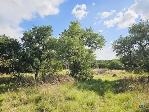 100 Reavis Drive Dr, Kempner, TX 76539
