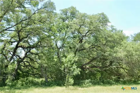 2170 Langdon Rd, Weimar, TX 78962 photo 8
