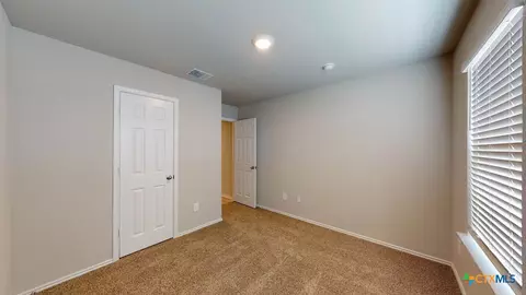 517 Hector Loop, Georgetown, TX 78626 photo 23