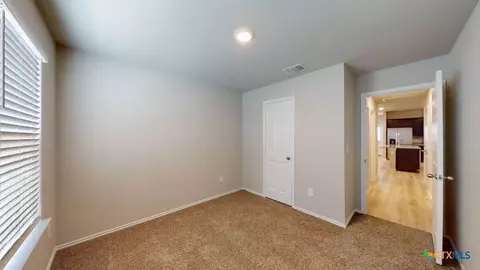 517 Hector Loop, Georgetown, TX 78626 photo 22