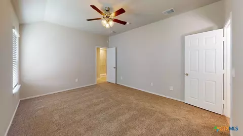 517 Hector Loop, Georgetown, TX 78626 photo 16