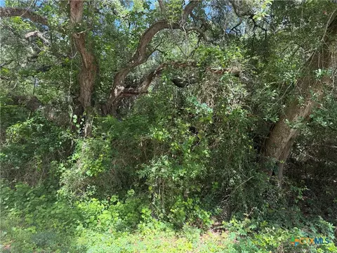 lot529 Grand Oak St, Palacios, TX 77465