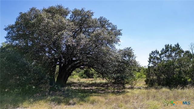 lot3 Ph 2 Pr 4218, Evant, TX 76525