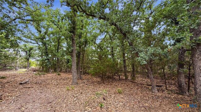 lot97 Ph 6 Pr 42101, Evant, TX 76566