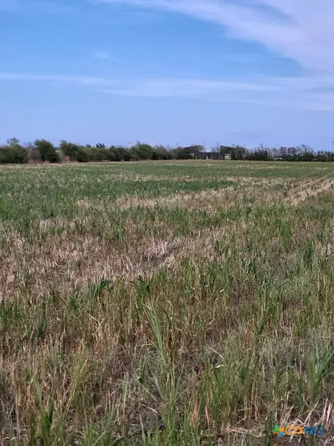 1701 W Fm 487, Jarrell, TX 76537