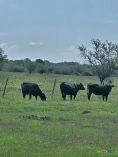000 County Road 18 6146 Acres Tract 2 3, Hallettsville, TX 77964