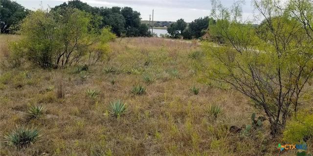 688 Comanche Lake Rd, Comanche, TX 76442