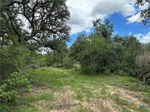 5 Burlin Ln, Meyersville, TX 77974