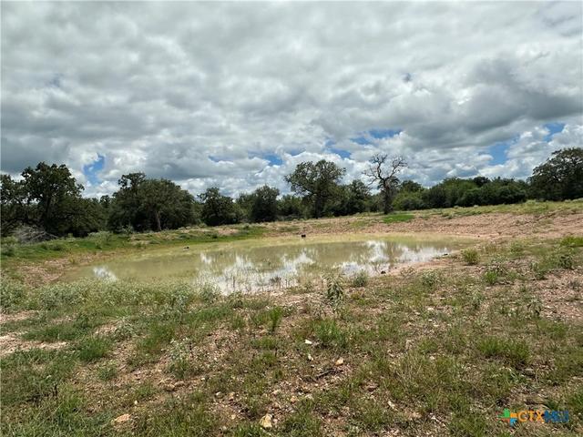 8 Burlin Ln, Meyersville, TX 77974