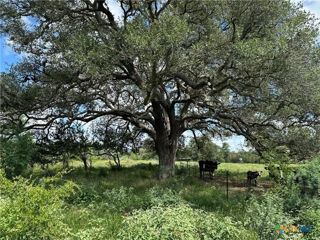 10 Burlin Ln, Meyersville, TX 77974