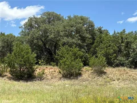 0 County Road 303, Bertram, TX 78605 photo 2