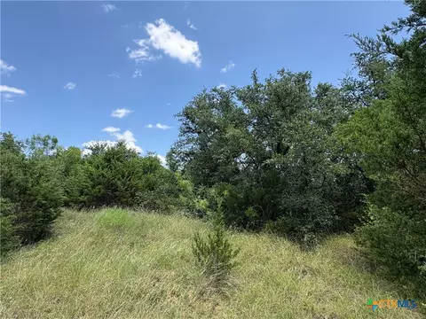 0 County Road 303, Bertram, TX 78605 photo 1