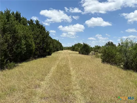 0 County Road 303, Bertram, TX 78605 photo 5