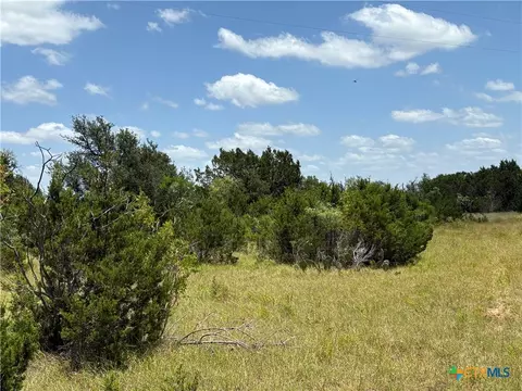 0 County Road 303, Bertram, TX 78605 photo 3