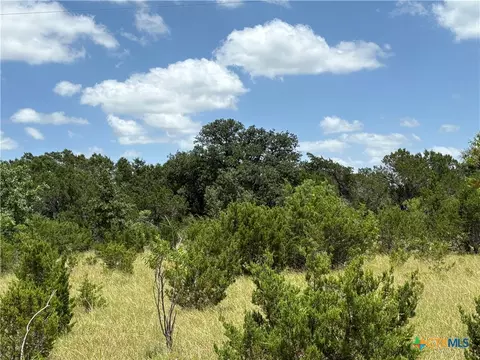 0 County Road 303, Bertram, TX 78605 photo 4