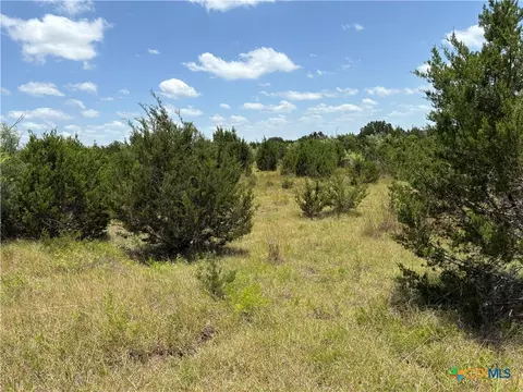 0 County Road 303, Bertram, TX 78605 photo 6