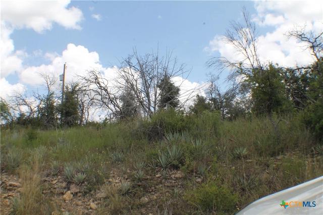 0 Newcastle Dr, Brownwood, TX 76801