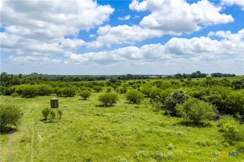596 Hallemann Rd, Goliad, TX 77963