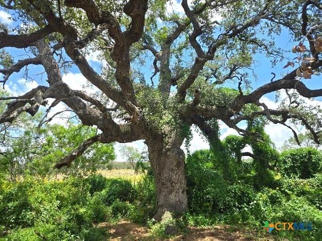 271 Pr 1266, Gillett, TX 78116