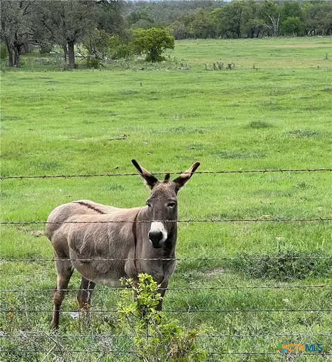 99 Axis Cir, Fredericksburg, TX 78624