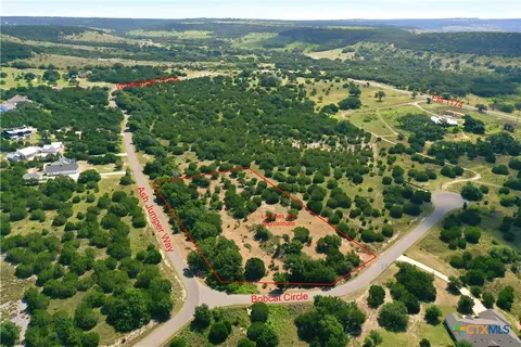 View/Area - 100 Bobcat Cir, Bertram, TX 78605 photo 6 of 13