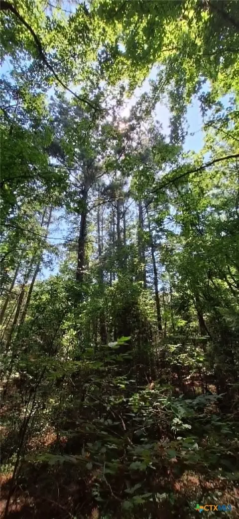 Other - tbd Red Maple Rd, Big Sandy, TX 75755 photo 4 of 20
