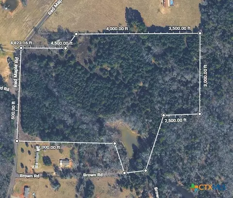 View/Area - tbd Red Maple Rd, Big Sandy, TX 75755 photo 2 of 4