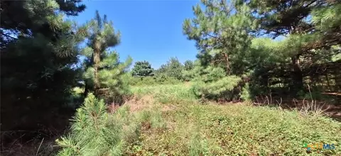 Other - tbd Red Maple Rd, Big Sandy, TX 75755 photo 18 of 20