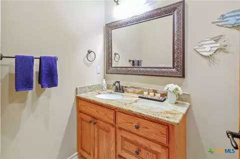 Bath - 166 Post Oak Bnd, Inez, TX 77968 photo 6 of 6