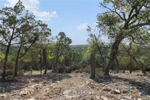 Tract 4 Mount Olive School Road, Wimberley, TX 78676