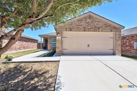 161 Proclamation Ave, Liberty Hill, TX 78642