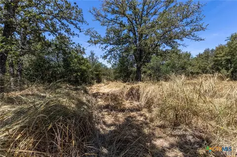 10 Gander Sloough, Kingsbury, TX 78638