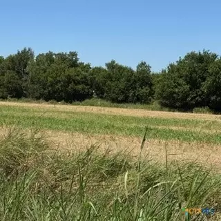 tbd Tx-95, Holland, TX 76534