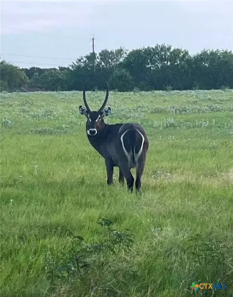 Other - 494 Flash Cir, Luling, TX 78648 photo 2 of 9
