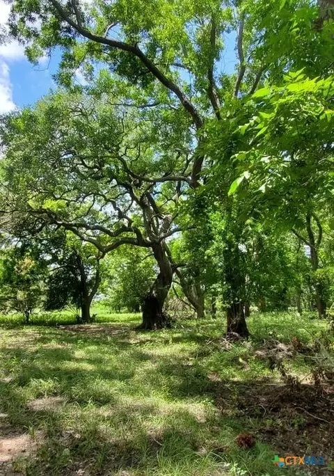 2224 Levee Rd, Bloomington, TX 77951 photo 17