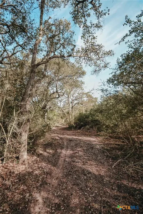 Other - Tract E Vitek Lane, Inez, TX 77968 photo 9 of 14
