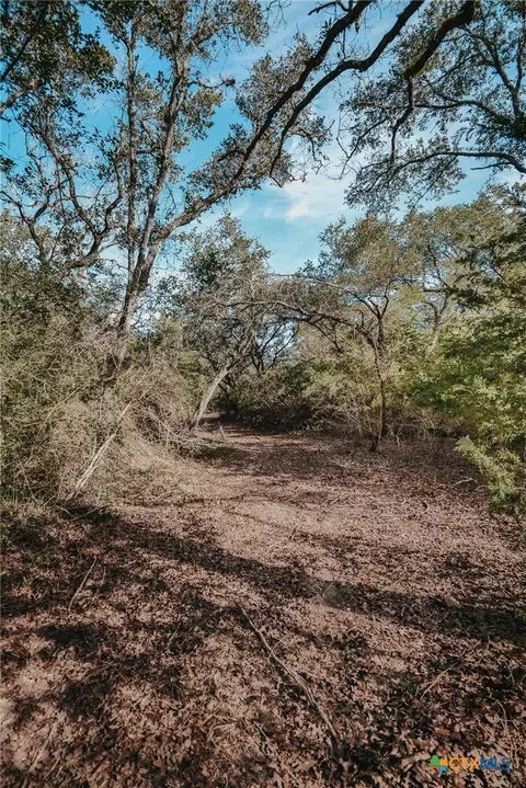 Other - Tract E Vitek Lane, Inez, TX 77968 photo 11 of 14