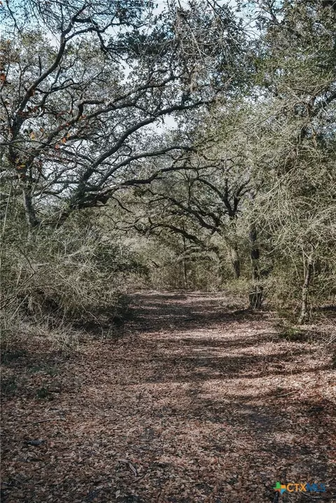 Other - Tract E Vitek Lane, Inez, TX 77968 photo 13 of 14