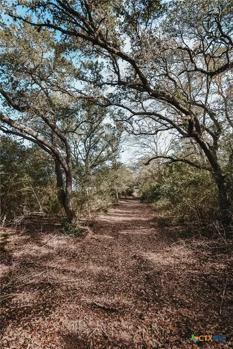 Other - Tract E Vitek Lane, Inez, TX 77968 photo 12 of 14