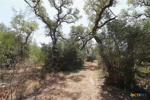 Other - tbd Danforth Rd, Goliad, TX 77963 photo 27 of 31