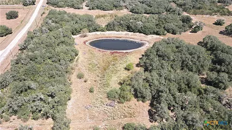View/Area - tbd Danforth Rd, Goliad, TX 77963 photo 7 of 10