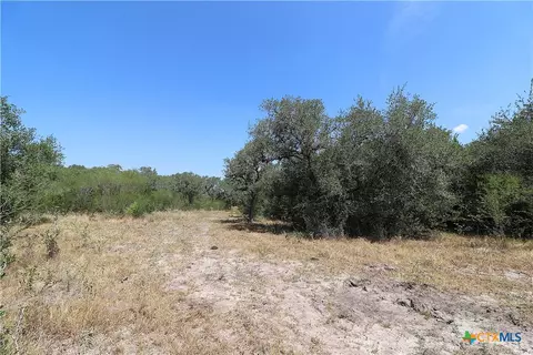 Other - tbd Danforth Rd, Goliad, TX 77963 photo 8 of 31
