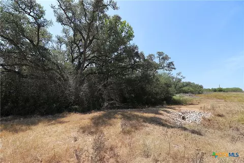 Other - tbd Danforth Rd, Goliad, TX 77963 photo 5 of 31