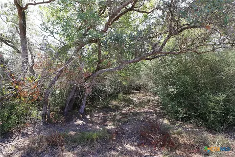Exterior - tbd Danforth Rd, Goliad, TX 77963 photo 1 of 2
