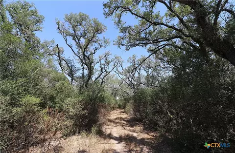 Other - tbd Danforth Rd, Goliad, TX 77963 photo 26 of 31